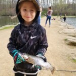 Trout