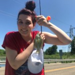 Abby-Christman Road Bridge