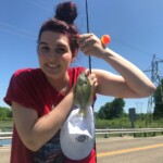 Abby-Christman Road Bridge