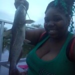 Shamia