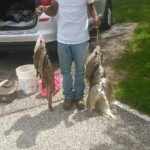 Wildwood Lake