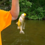 Nick-Portage Lakes 5