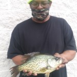 Marvin-Crappie-15.5"