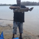 Stephen-Catfish-Nimisila