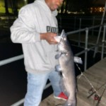 Aaron-10lb Catfish
