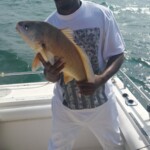 Aaron-Lake Erie