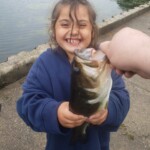Kira-Portage Lakes 1