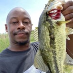 Aaron-Bass