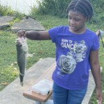 Jazzy-First Bass