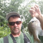 Rick-bluegill