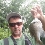 Rick-bluegill