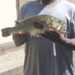 Anthony 3