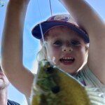 Arilynn-Bluegill