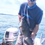 John 12lb cat