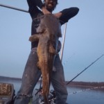 Justin - Flat Head 2