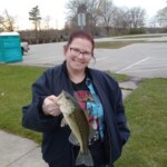 Morgan - Bass