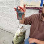 Wayne - Private Lake