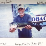 Ditter - Turkey Foot