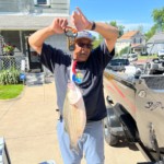 Jimmie - Hybrid Bass 2