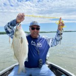 Jimmie - Hybrid Bass