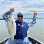Jimmie - Hybrid Bass