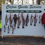 David-Lake Moultrie SC